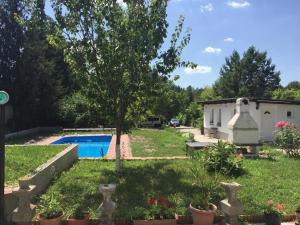 a yard with a pool and a house at Piknik Studio in Fertőrákos
