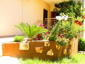 Zahrada ubytování Aristos Apartments & Suites