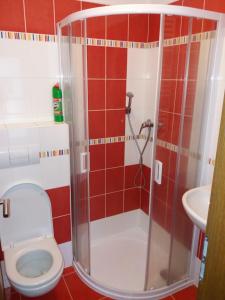 Kúpeľňa v ubytovaní Apartmány Rohlík