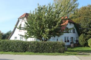 une maison blanche avec un arbre en face dans l'établissement Landhaus Alt Reddevitz, à Middelhagen