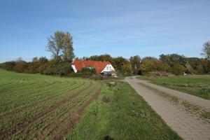 a field with a barn and a dirt road at Landhaus Alt Reddevitz in Middelhagen
