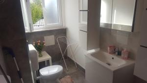 biała łazienka z toaletą i umywalką w obiekcie Vacation House Bimba - Pomer w mieście Pomer +24 zdjęcia