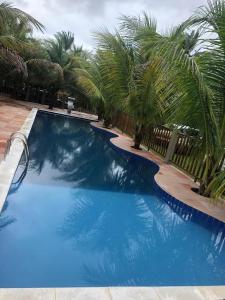 uma grande piscina azul com palmeiras em Pousada Bambui em Ituberá
