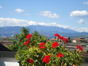 A general mountain view or a mountain view taken from a panziókat