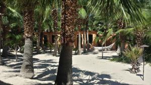 Zahrada ubytování Baja Joe's Hotel