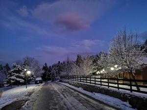 una carretera cubierta de nieve con un coche conduciendo por la calle en Livadaki Village, en Megáli Kápsi