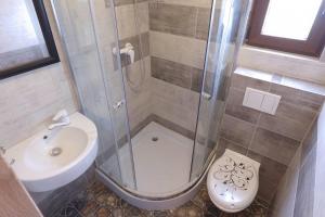 a bathroom with a shower and a toilet and a sink at Domki Złota Rybka nad Jeziorem- Jacuzzi in Zawóz