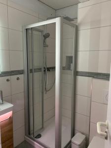 a glass shower in a bathroom with a toilet at Ferienwohnung Mountainlook in Hohegeiß +13 photos