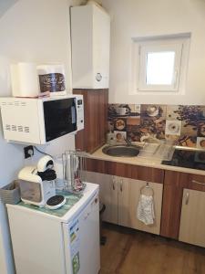 a small kitchen with a microwave and a refrigerator at Garsoniera Mihaela in Onești