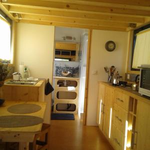 eine Küche mit einem Kühlschrank, einer Spüle und einem Tisch in der Unterkunft Tiny house sur la Presqu'île Sauvage in Lanmodez