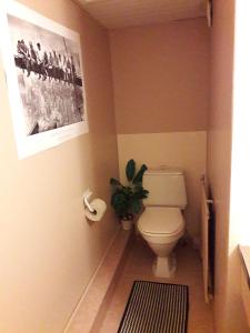 a bathroom with a toilet and a plant in it at Huoneisto omenapuiden katveessa in Kankaanpää