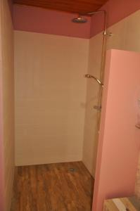a bathroom with a shower in a room at Ma maison bleue in Saint-Brice-sous-Rânes +44 photos