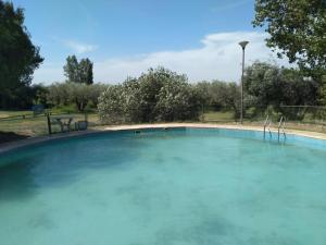 a large pool of blue water in a park at Cabaña en Olivar Centenario Agroecológico Tutuna in Pocito