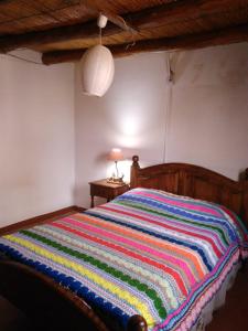 a bed in a room with a colorful blanket on it at Cabaña en Olivar Centenario Agroecológico Tutuna in Pocito +73 photos