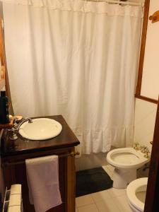 a bathroom with a sink and a toilet and a shower curtain at Casa en Ushuaia in Ushuaia