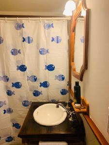 a bathroom with a sink and a shower curtain at Casa en Ushuaia in Ushuaia