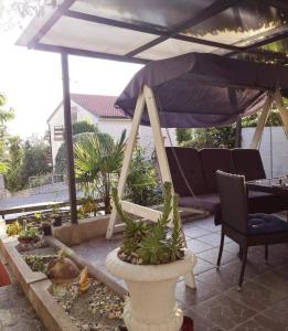 Balkón nebo terasa v ubytování Apartment Marko Dunato