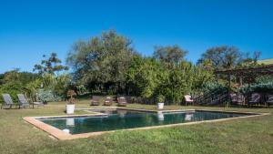 Sundlaugin á Leeuwenbosch Shearers Lodge - Amakhala Game Reserve eða í nágrenninu