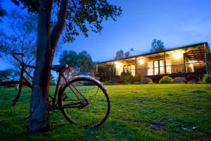 a bike parked next to a tree in front of a house at Kookaburra Ridge in Hepburn