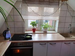 Kuchyň nebo kuchyňský kout v ubytování Hostel Mleczna - Metro Zacisze