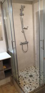 a shower with a glass door in a bathroom at Appartement Bardéron in Arcizans-Avant