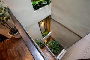 Κήπος έξω από το The Spades Private Residence