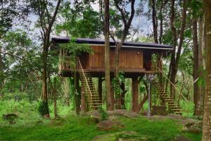 Zahrada ubytování Eco Garden Resort & Heritage Cheruthuruthy Thrissur
