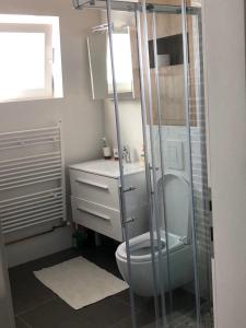 Koupelna v ubytování Apartman 01