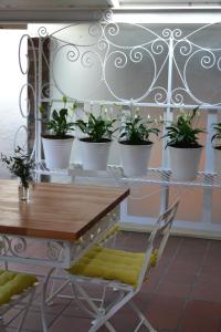 einen Tisch und Stühle mit Topfpflanzen auf einem Regal in der Unterkunft By The Way Guesthouse in Clarens