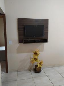 a flat screen tv on a wall with a plant at casa temporada capitólio in Capitólio
