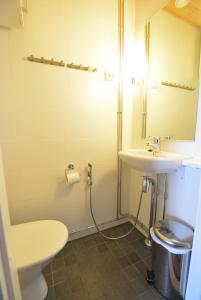 a bathroom with a sink and a toilet and a mirror at Ylläshuiput in Ylläsjärvi
