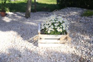 Ein Garten an der Unterkunft SWEET HOUSE