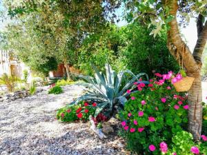 Ein Garten an der Unterkunft SWEET HOUSE