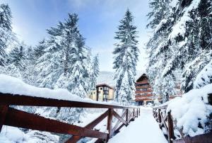Wellness Hotel Chopok during the winter