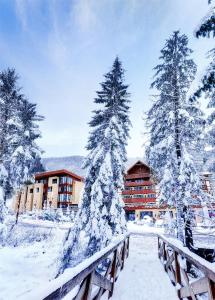 a bridge with snow covered trees in front of a building at Wellness Hotel Chopok in Demanovska Dolina