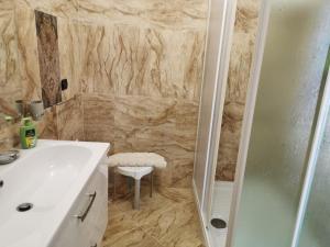 ein Bad mit einer Dusche, einem Waschbecken und einem WC in der Unterkunft IL FEUDO in Sellia Marina