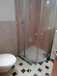 a bathroom with a shower and a toilet at Ferienwohnung Kogler in Waidring