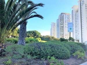 Um jardim no exterior de Concón Costa de Montemar Departamento, 3 dormitorios