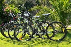 een groep fietsen geparkeerd in het gras bij Hotel Villa Rodriguez in Capoliveri