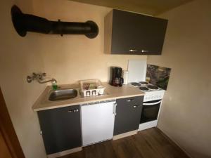 a small kitchen with a sink and a stove at Ferienwohnung Eva und Alexander in Hirschbach +18 photos