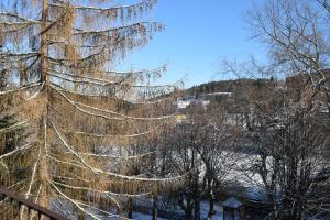 Príroda v okolí apartmánu