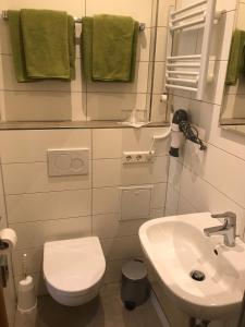 a bathroom with a white toilet and a sink at Hotel und Wirtshaus Löwen in Rielasingen-Worblingen