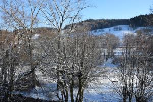 Príroda v okolí apartmánu
