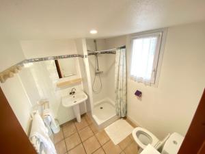 een badkamer met een douche, een toilet en een wastafel bij Domaine De La Bégude in Fayence