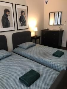 Posteľ alebo postele v izbe v ubytovaní Thermal Forest Apartment