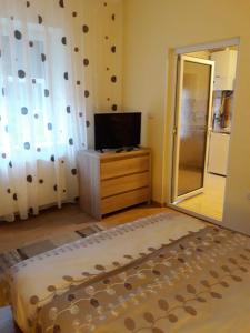 a bedroom with a bed and a tv and a mirror at Apartament Andreas in Arad