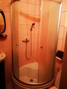La salle de bains est pourvue d'une douche et de toilettes. dans l'établissement Agroturystyka w Dolinie Narwi, à Łomża