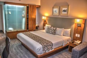Postel nebo postele na pokoji v ubytování Casa Inn Premium Hotel Queretaro