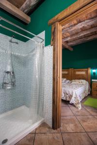 a bathroom with a shower and a bed in a room at Arkaitza in Berrobi