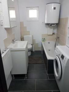 a bathroom with a sink and a washing machine at Ubytování u Ještěrky in Jaroslavice